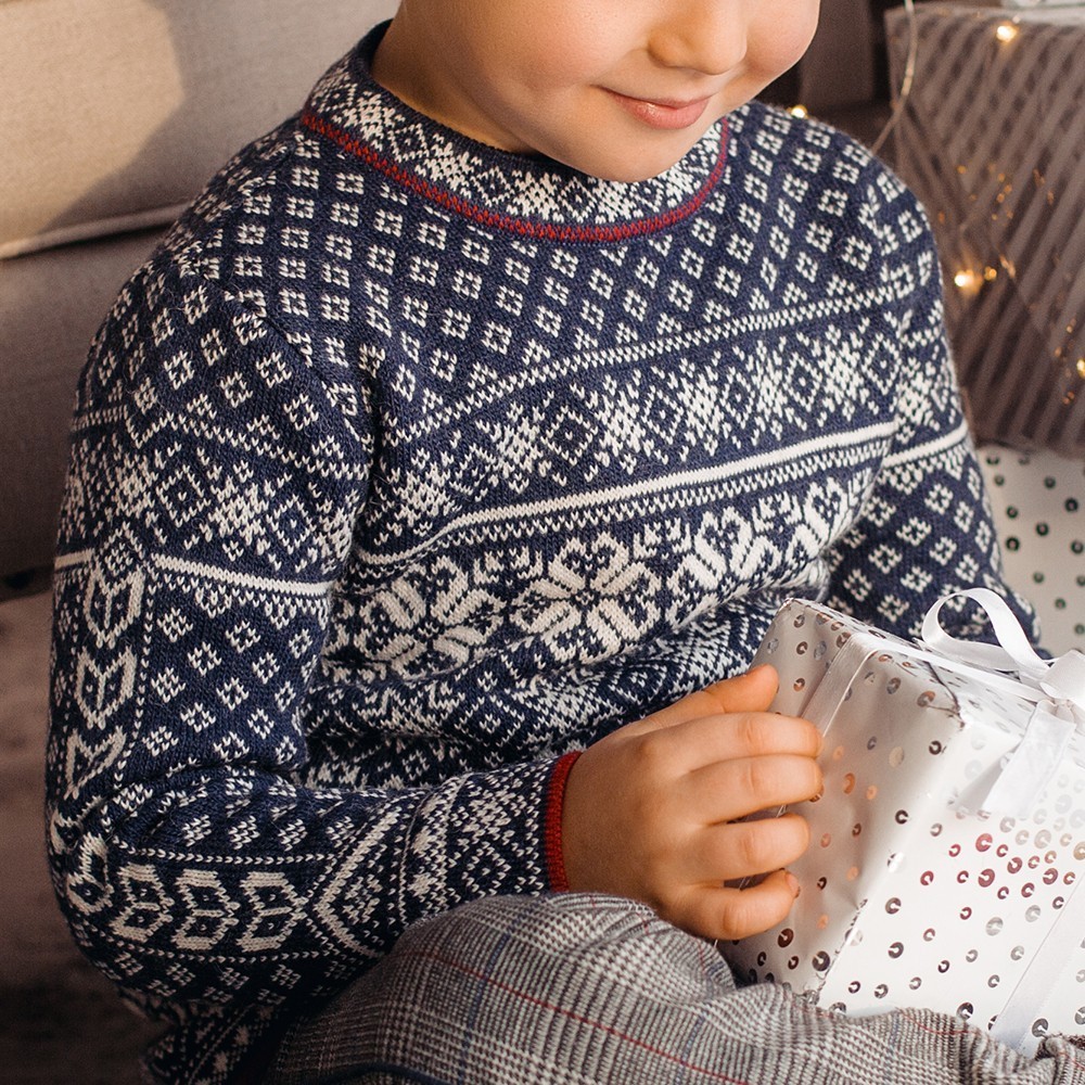 Berty nordic blue white jacquard knit wool sweater – Shop with Veta